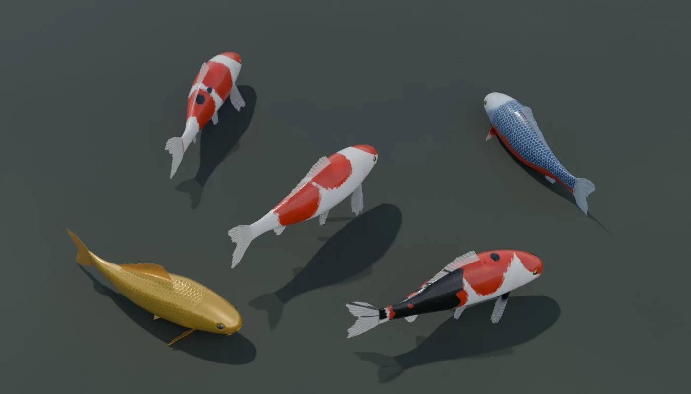 Bassin de koï générés par la version 1.0